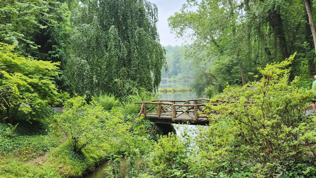 Stepping out of your comfort zone, a rustic wooden bridge crosses a creek toward a lake in a green forest